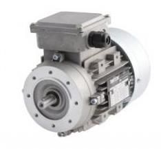 Двигатель переменного тока Transtecno TS 100L1-2